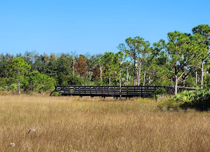 A brown bridge over dry grasses in upland preserve with green trees in the background.